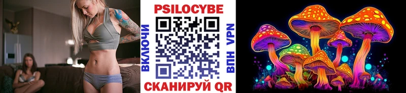 Псилоцибиновые грибы прущие грибы  mega зеркало  Таштагол  наркота 